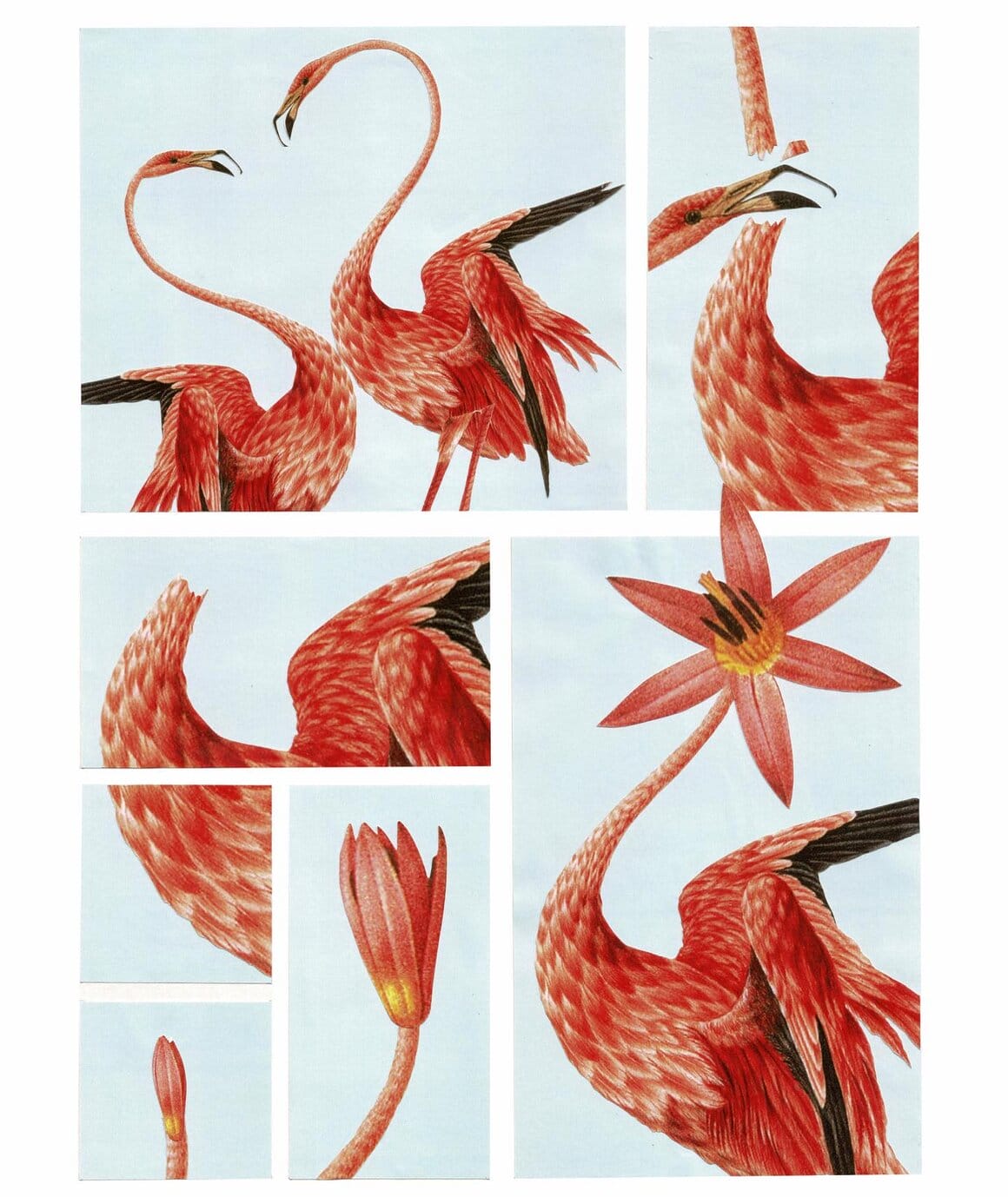 collage flamand rose et fleur