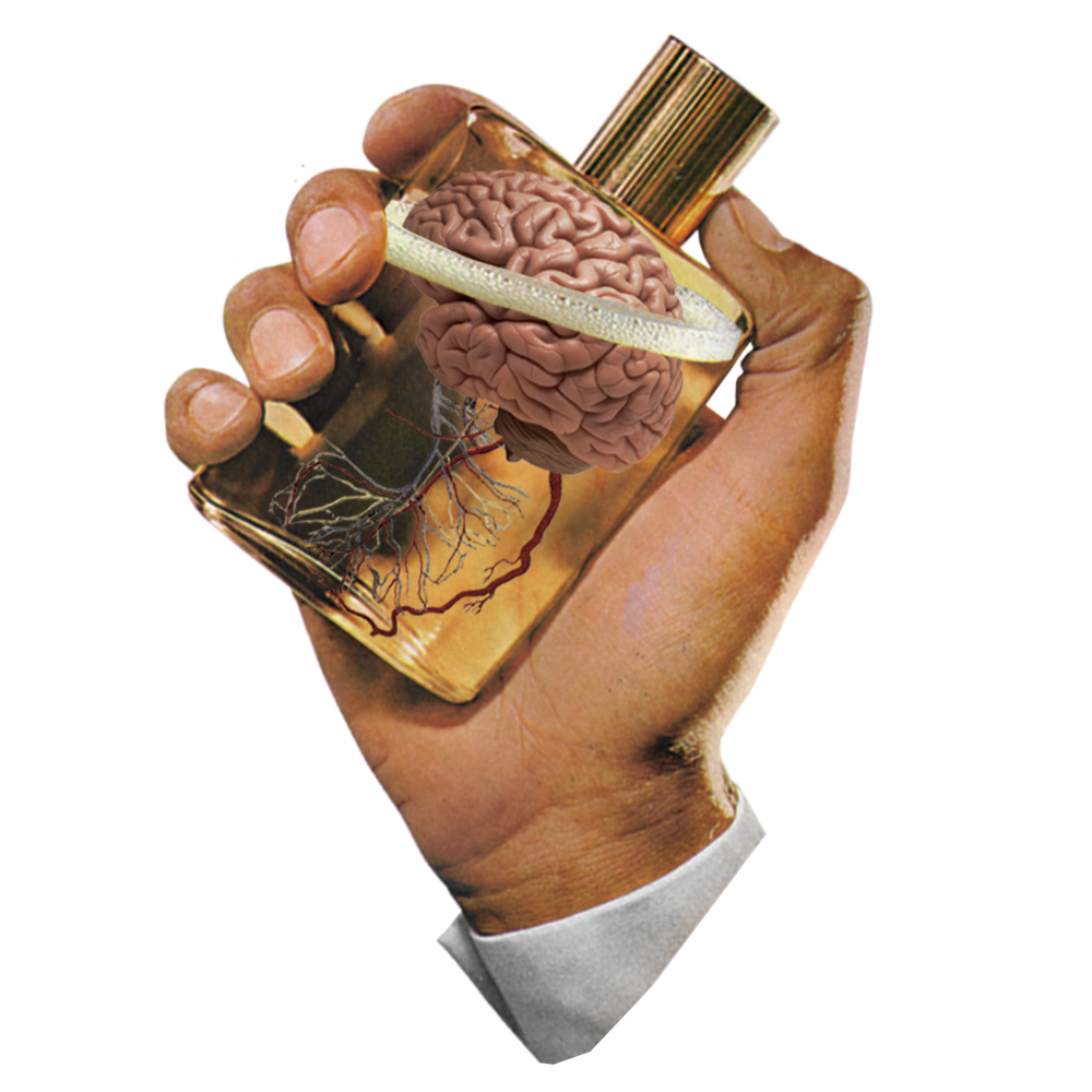 flacon de parfum avec un cerveau par C.pic