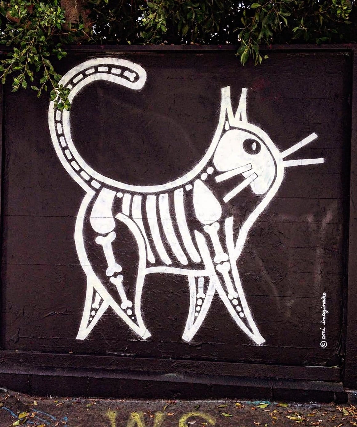 Peinture d'un chat squelette par l'artiste Ami Imaginaire